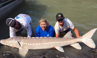 Book Your Sturgeon Fishing Trip Now
